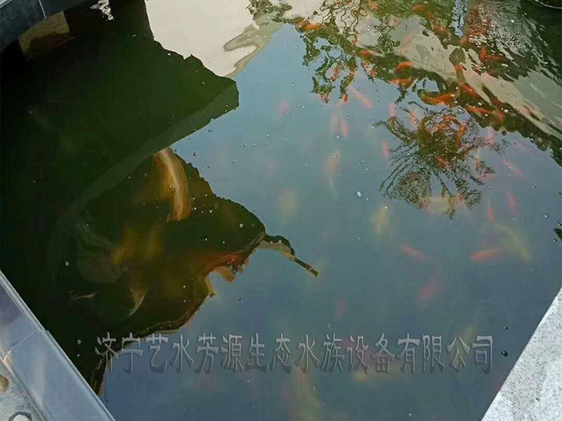 東營(yíng)景觀池刷凈安裝凈化系統(tǒng)