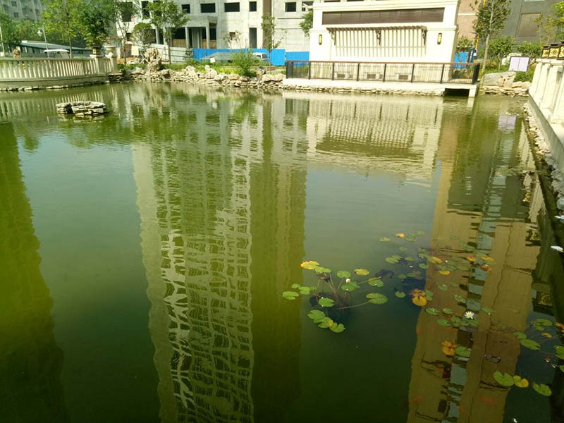 案例展示
