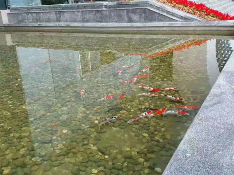 案例展示