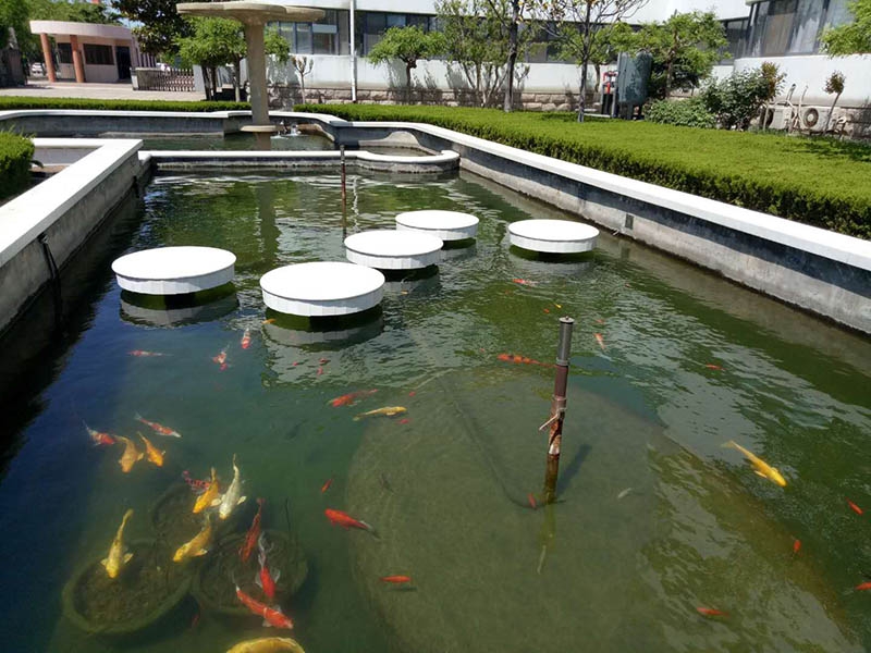 案例展示