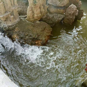 藝水芳源_棗莊別墅
