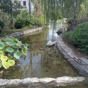 藝水芳源_濰坊泰和上筑