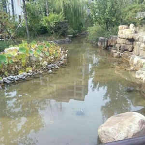 藝水芳源_濰坊泰和上筑