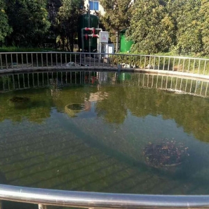 藝水芳源_龍口海天酒店