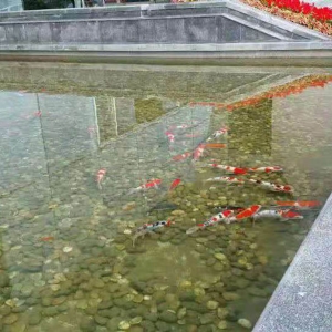 案例展示
