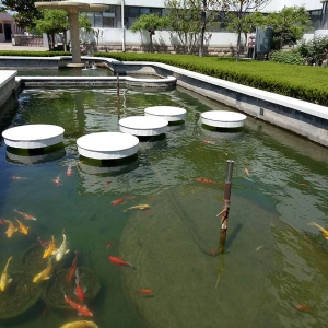 案例展示