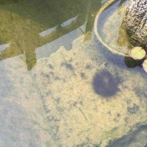 案例展示