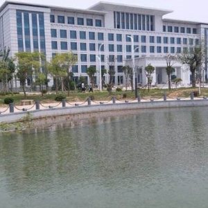 案例展示