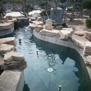 魚池過(guò)濾器客戶實(shí)地效果展示